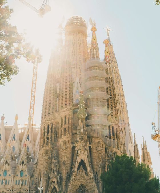 SEO Optimization with Data Analytics